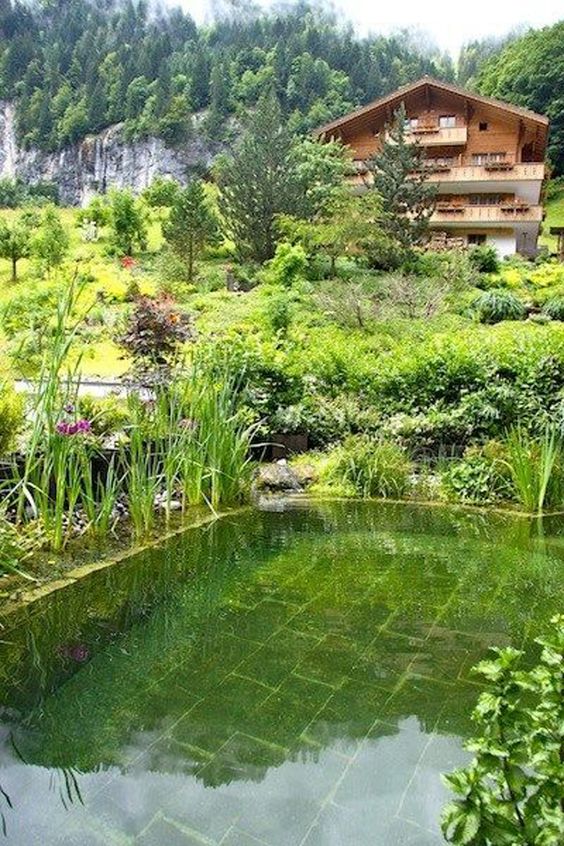 Natural Swimming Pool Ideas: Dazzling and Relaxing